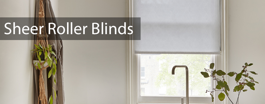 Sheer Roller Blinds