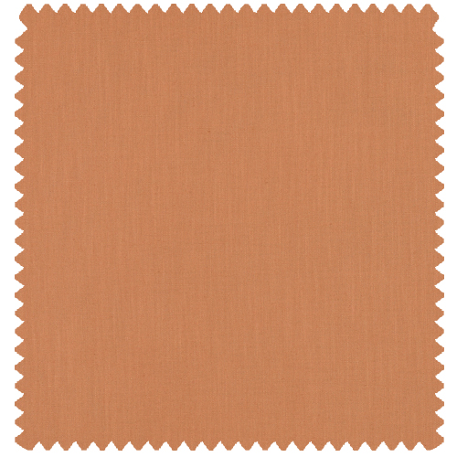 astrid-clay-roman-swatch
