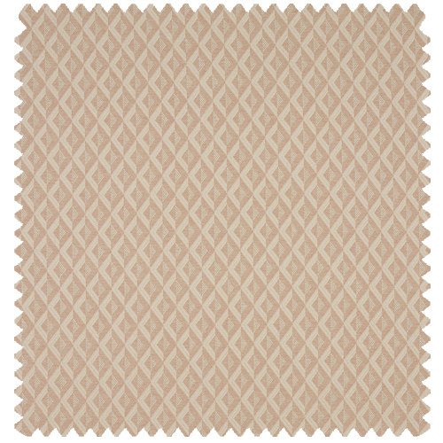 ramona-rosedust-roman-swatch
