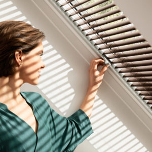 Velux Venetian Blinds